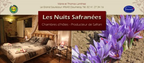Chambres d'hôtes et producteur de Safran
